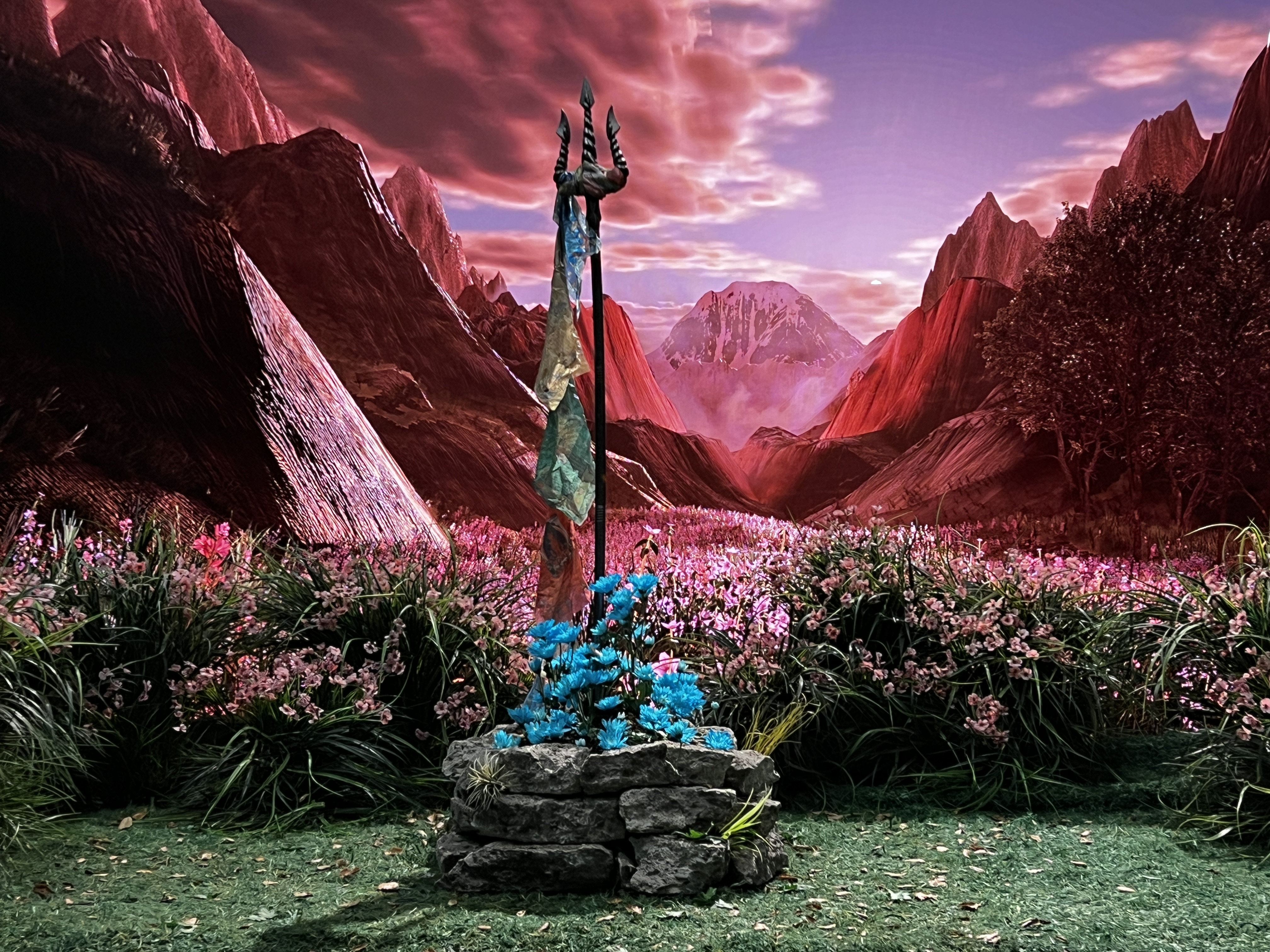 Beyond the Valley of Flowers