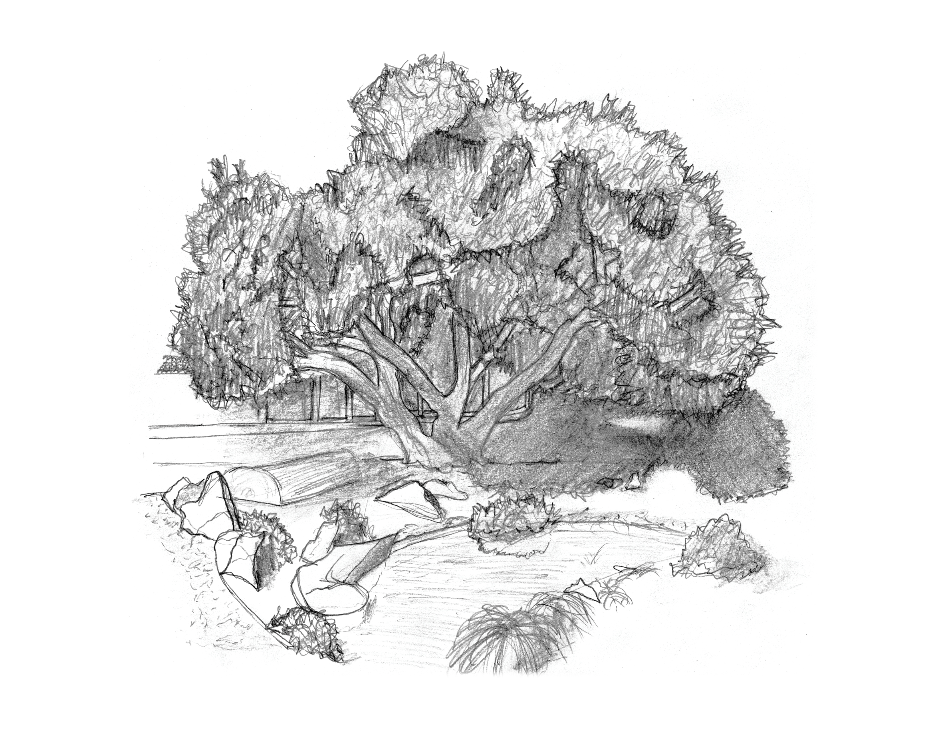 CHINESE GARDEN OAK - One-point perspective