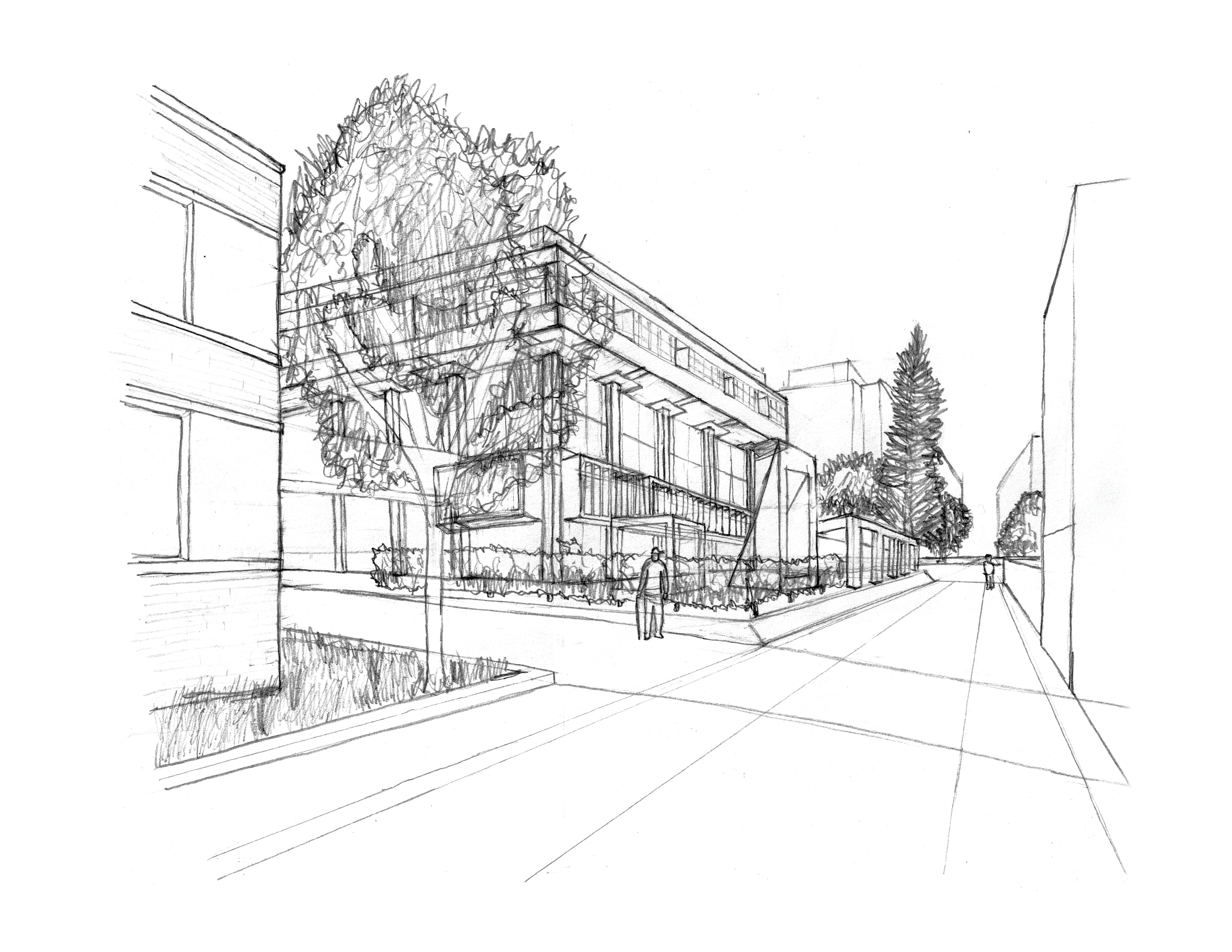WALK DOWN BLOOM WALK - Two-point perspective